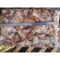 Frozen Squid Leftover Wing Dosidicus Gigas 300-500g